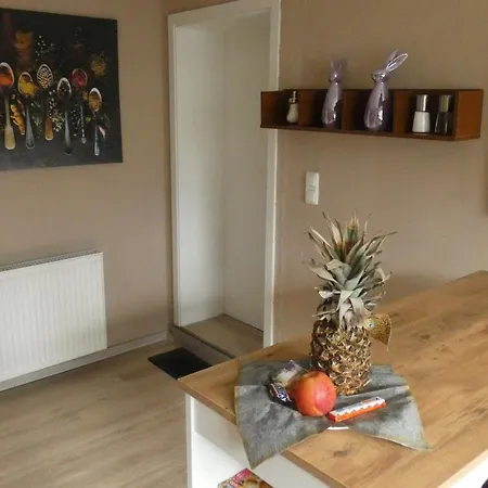 Dachterrasse שוואנדורף אין ביירן