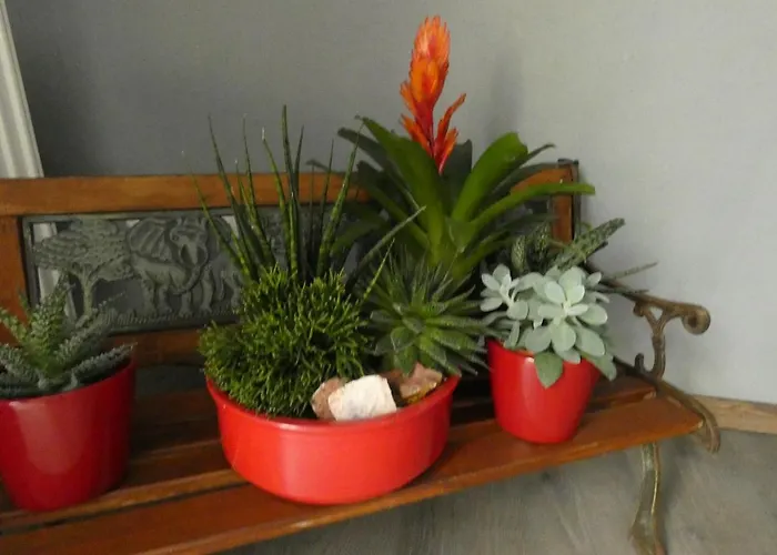 Apartament Dachterrasse Schwandorf